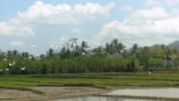 Lingkungan Alam Jauh dari Polusi (Foto:Wendy S)