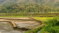 Desa Yang Masih Alami (Foto:Wendy S)