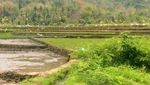 Akhir Pekan di Lereng Bukit Menoreh yang Sejuk