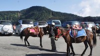 geliat para pedagang menjelang siang