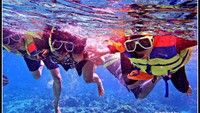 Snorkeling di Pulau  Kambing dan Pulau Liukang Loe
