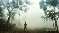 Ini foto pas dapet view kabutnya, syahdu banget