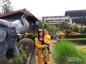 Akhir Pekan, Foto-foto Seru di Kebun Begonia Lembang