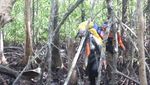 Akhir Pekan ini, Cobalah Susur Pantai Cipatujah di Tasikmalaya