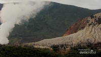 Hutan Mati terlihat dari Pondok Saladah