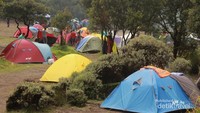 Membangun tenda di antara pepohonan
