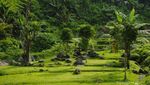 Akhir Pekan Ini, Yuk Kemping di Sukabumi