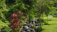 di sini juga menikmati aliran sungai yang merdu