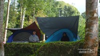 bersantai di dalam tenda sembari menikmati alam pagi hari