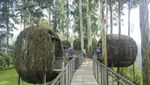 Akhir Pekan ke Bandung, Enaknya ke Dusun Bambu