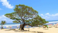 Ikon Pantai Pok Tunggal