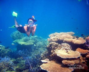 Akhir Pekan ke Karimunjawa, Ayo Main Air!