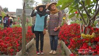 Bergaya narsis ala petani bunga