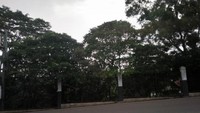 Pemandangan hijau ini yang akan kita temui saat kendaraan ke luar dari pintu tol Ciganea/Jatiluhur