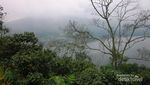 Akhir Pekan Menyeruput Kopi Bali di Bukit Hexon, Gratis!