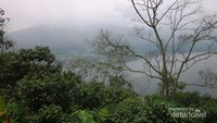 Pemandangan indah Danau Buyan yang berkabut