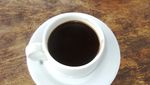 Akhir Pekan Menyeruput Kopi Bali di Bukit Hexon, Gratis!