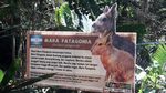 Akhir Pekan Seru di Jatim Park 2