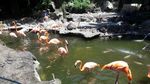 Akhir Pekan Seru di Jatim Park 2