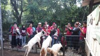 Antusias peserta piknik saat memberi makan Kambing Etawa di Learning Farm Ecopark