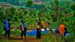 Akhir Pekan Seru, Mendaki Gunung Cikuray di Garut