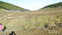 Luasnya area Alun-Alun Suryakancana yang menjadi tempat favorit pendaki untuk berkemah.
