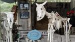 Akhir Pekan Tiba, Ada Museum Sisa Hartaku yang Sejuk