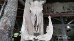 Akhir Pekan Tiba, Ada Museum Sisa Hartaku yang Sejuk