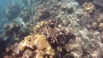 Akhir Pekan yang Istimewa di Pulau Samalona, Makassar