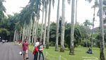 Akhir Pekan yang Seru di Kebun Raya Bogor