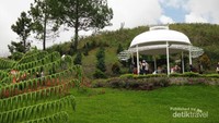 Taman Bunga Sapo Juma