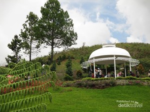 Akhir Pekan, Yuk Lepas Penat di Taman Bunga Sapo Juma