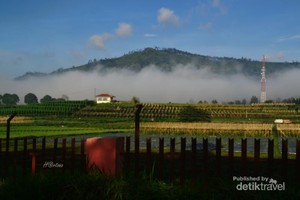 Akhir Pekan, Yuk Lihat Indahnya Bandung dari Ketinggian