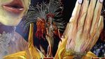 Alamak! Digoyang Seksinya Samba di Rio Carnival