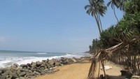 Siddhalepa berada tepi pantai (Foto: Fitraya Ramadhanny)