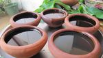 Alamak! Nikmatnya Spa Ayurveda di Sri Lanka