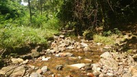 Air sungai ini nantinya mengalir hingga Cughup Tujuh Kenangan