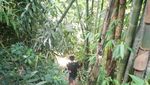 Alap-alap, Air Terjun Tersembunyi di Kaki Gunung Dempo