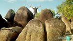 Amazing Moment! Menjadi Laskar Gerhana di Negeri Laskar Pelangi