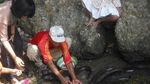 Ambon, Alam dan Lautnya Sungguh Manise!