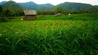 Pemandangan di Amlapura