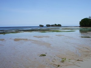 Aneh Tapi Nyata, Pantai Ini Punya Ratusan Mata Air Tawar