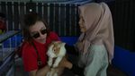 Aneka Aktivitas Menarik di Learning Farm Ancol