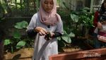 Aneka Aktivitas Menarik di Learning Farm Ancol