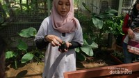 Belajar bercocok tanam