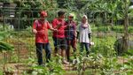 Aneka Aktivitas Menarik di Learning Farm Ancol