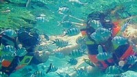 Snorkeling