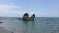 Batu yang menyerupai hewan penyu di pantaiRemodong Belinyu Bangka