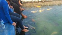 Terapi Ikan Situ Balong dalem