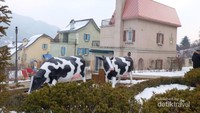 Edelweis Swiss Theme Park